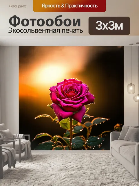 Фотообои роза, расцветающая в утреннем солнце, раскрывает свои яркие лепестки, будто приглашая вокруг себя все живое