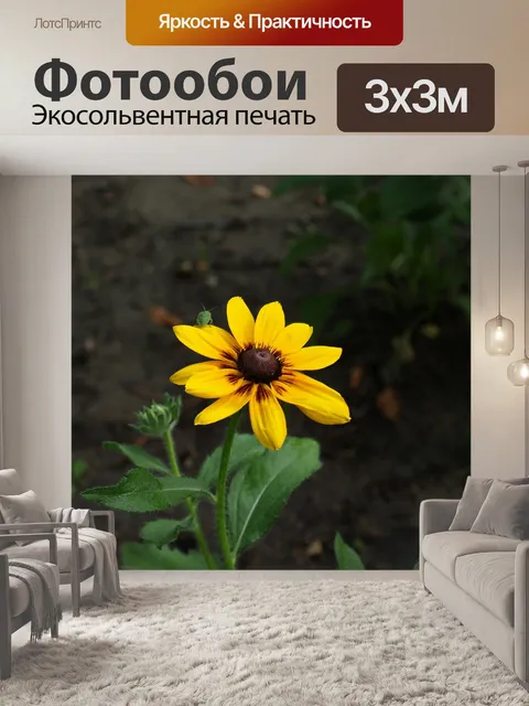 Фотообои Рудбекия двухцветная