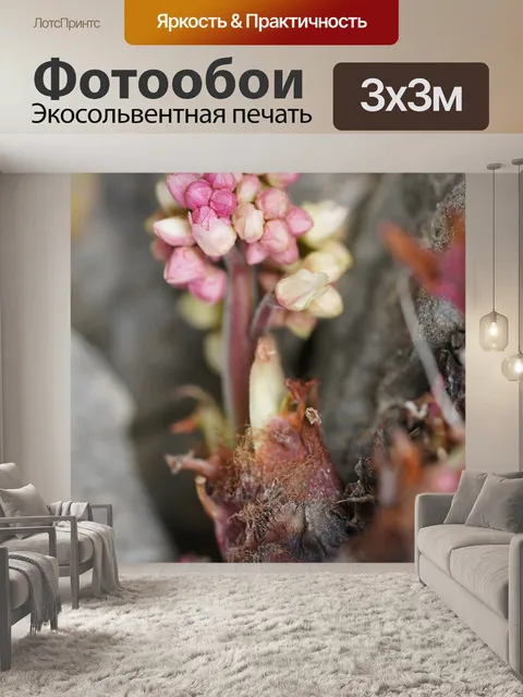 Фотообои Каменные листья