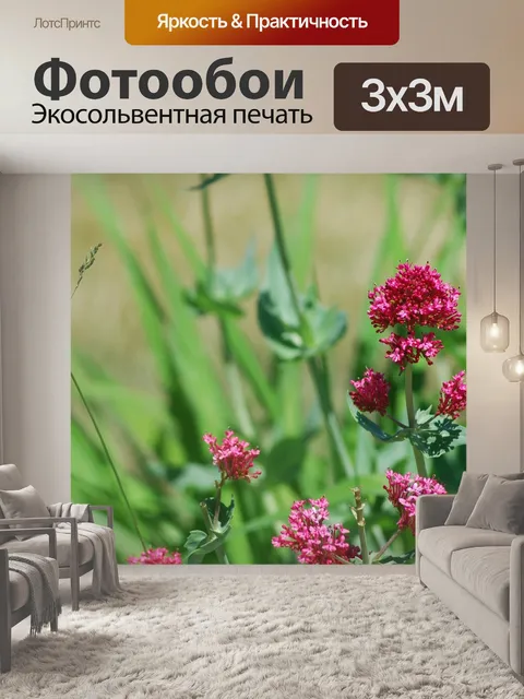 Фотообои Фиолетовый