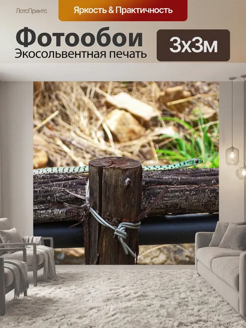 Фотообои Пятнистая кустовая змея на перилах