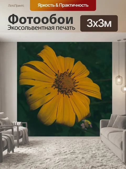 Фотообои Капризный