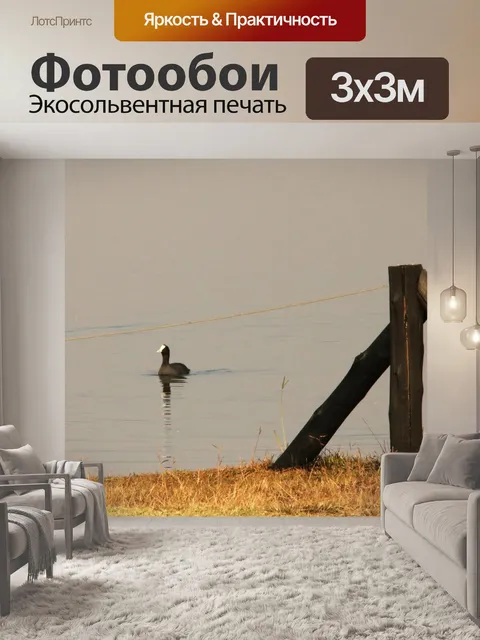 Фотообои черно-белый кот на плотине