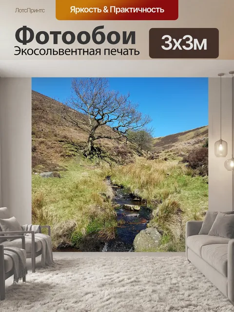 Фотообои Дерево