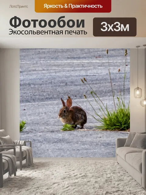 Фотообои Два перепела и кролика