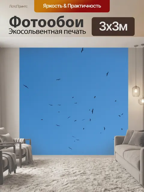Фотообои Птиц