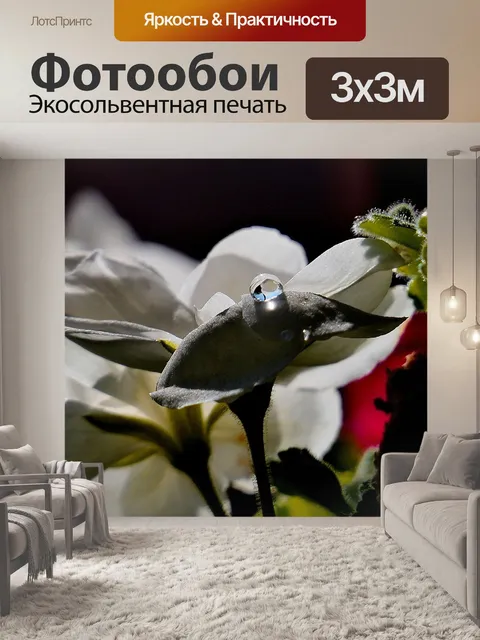 Фотообои Есть