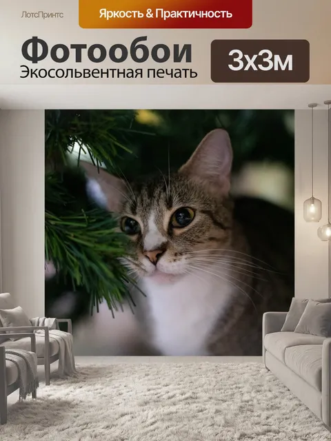 Фотообои Кошка