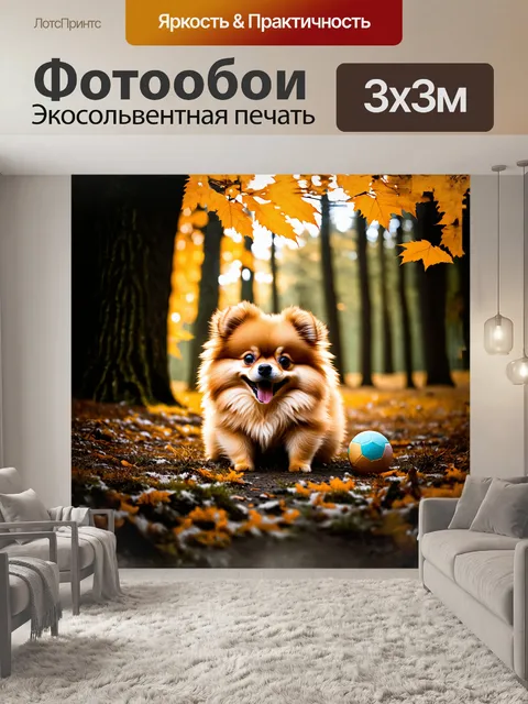 Фотообои игривый померанский шпиц, весело играющий с мячиком на фоне уютного леса, где освещение мягкое и теплое