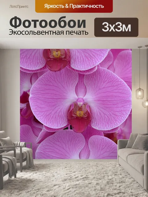 Фотообои Орхидеи