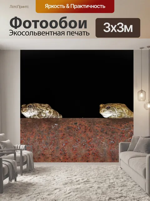 Фотообои Две маленькие лягушки дерева ночью