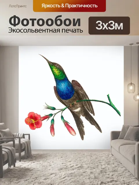 Фотообои Колибри птица старинное искусство
