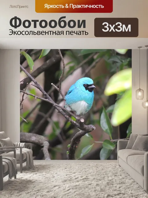 Фотообои Синяя птица