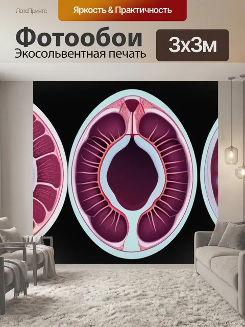 Фотообои этапы процесса имплантации в виде схемы