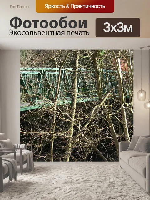Фотообои Железный мост