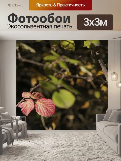 Фотообои Листья
