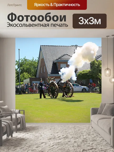 Фотообои Пушка