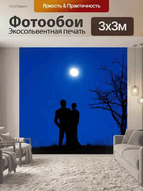 Фотообои Пара