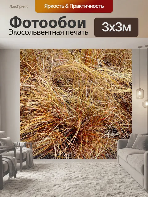 Фотообои Сухая трава