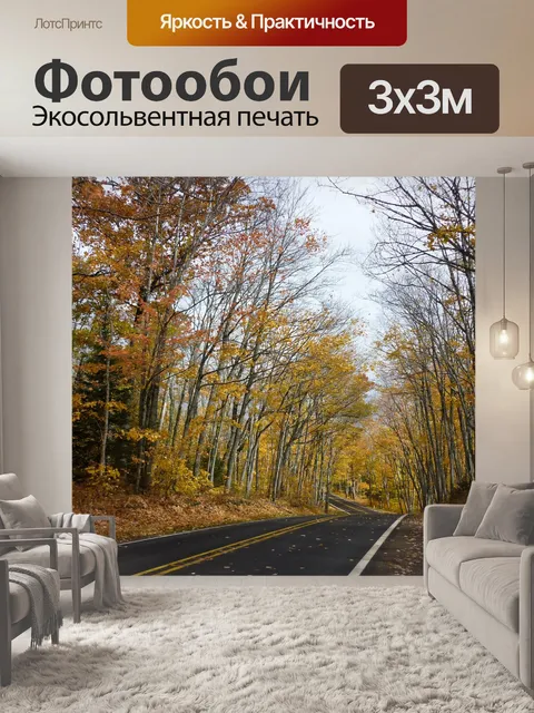 Фотообои Дорога