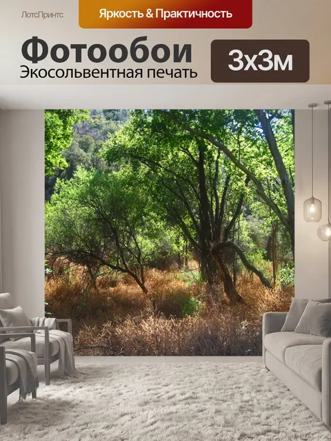 Фотообои сухая трава под высоким вечнозеленым дер
