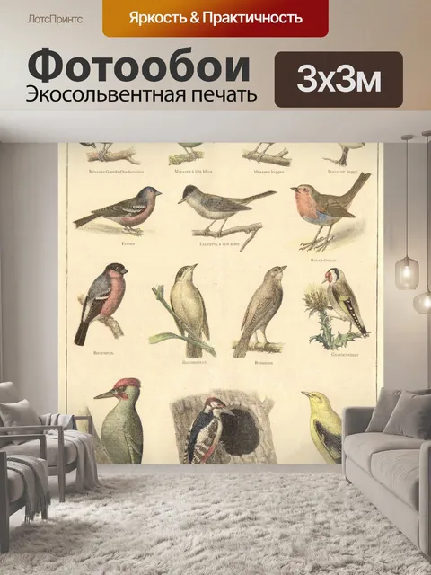 Фотообои Птицы винтаж искусство старые