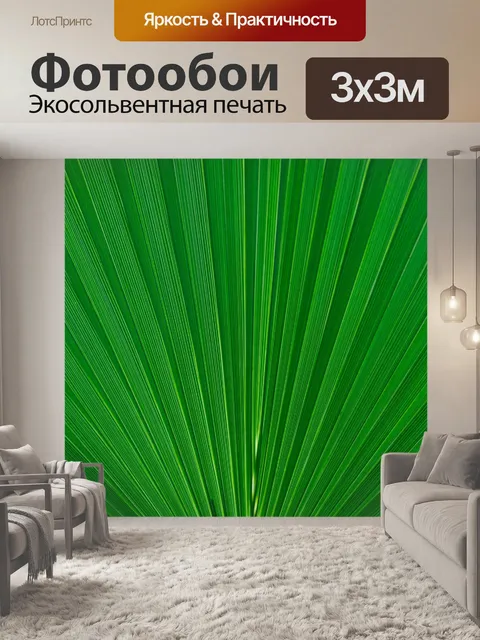Фотообои Деталь листьев пальмы