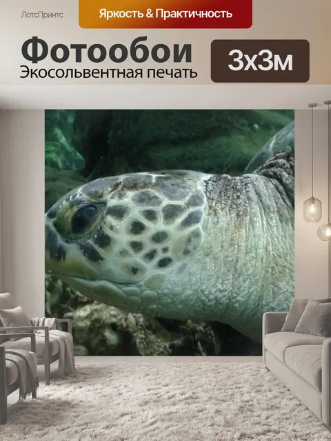 Фотообои Черепаха Подводные