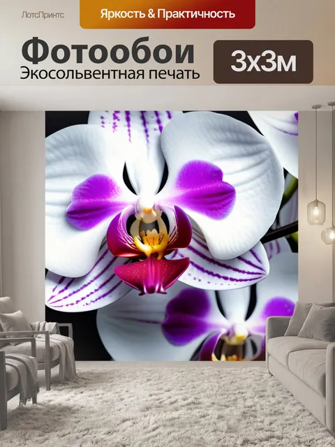 Фотообои с орхидеями