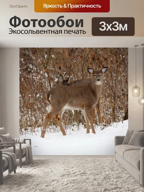 Фотообои Олень в лесу 3