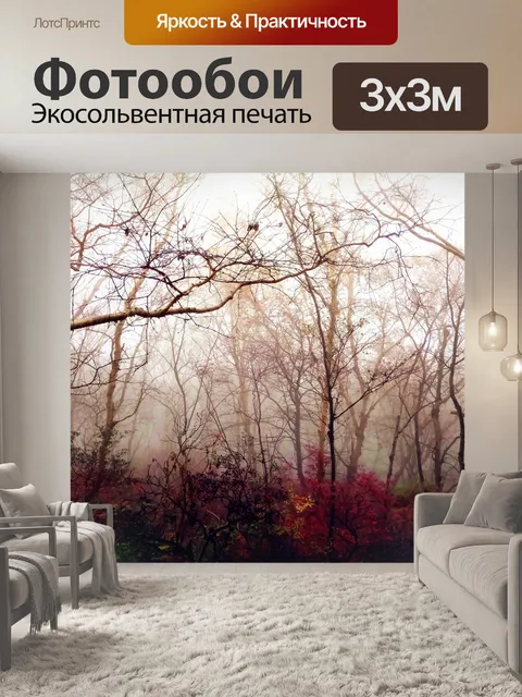Фотообои Туман