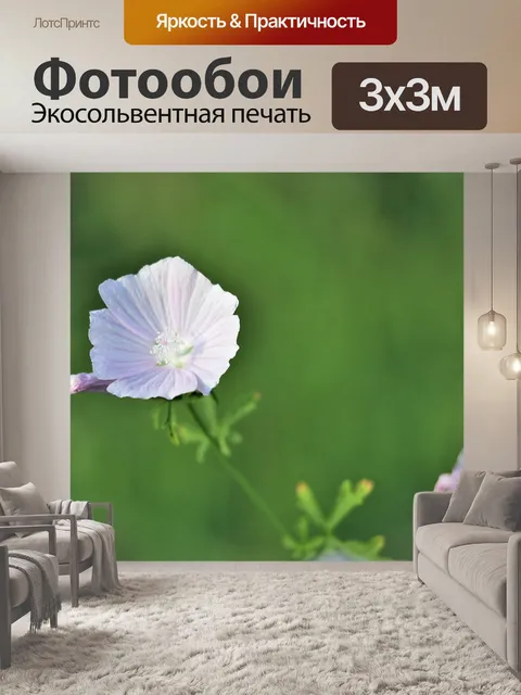 Фотообои Мальва обыкновенная