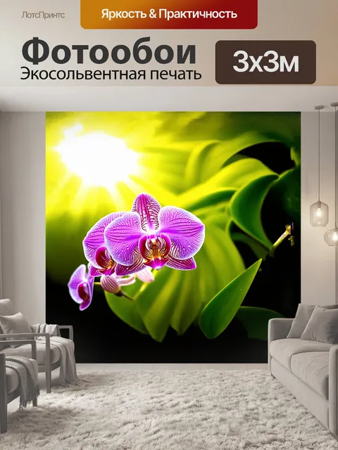 Фотообои орхидея распускается на фоне размытых зеленых завитков, с яркими лучами солнца, пробивающимися сквозь листву