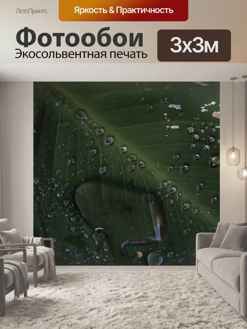 Фотообои Капля воды на листе