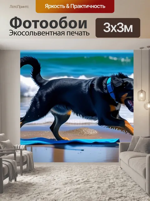 Фотообои собаки, играющие на берегу моря