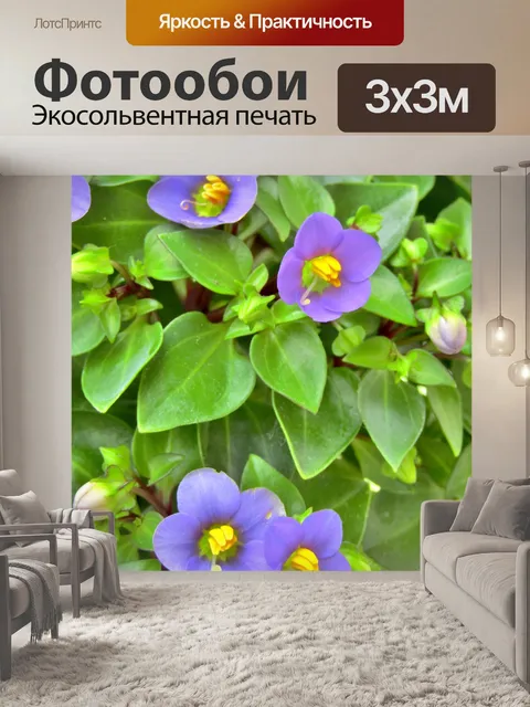Фотообои Цветок
