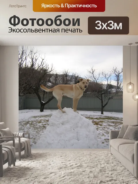 Фотообои Царь горы