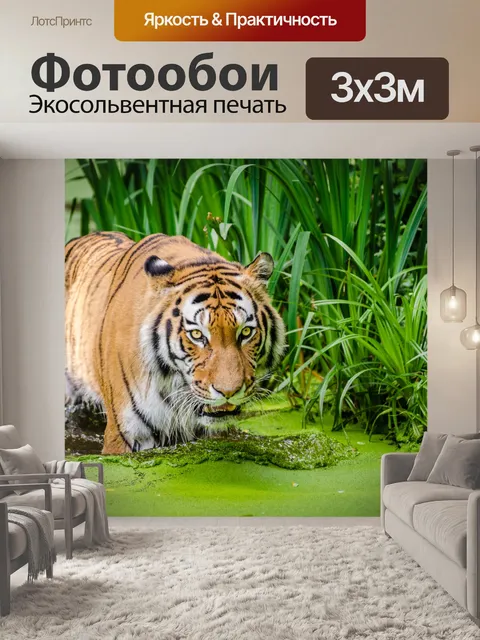 Фотообои Сибирский тигр, дикая природа