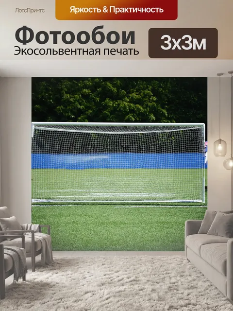 Фотообои -digital painting, glazing, ice glints, goalkeeper, net