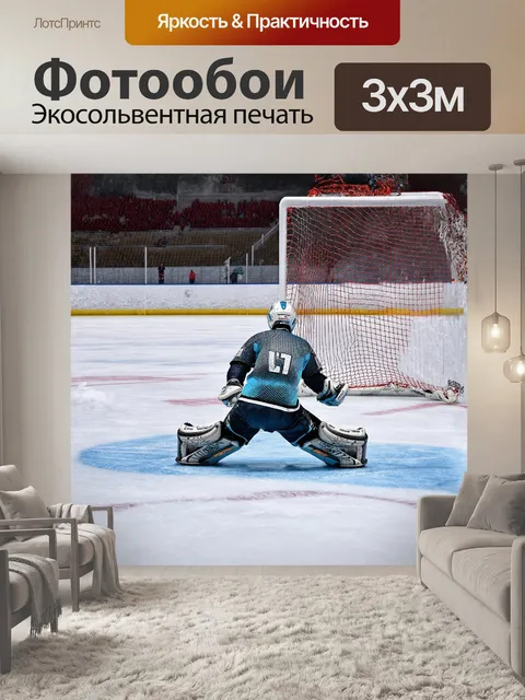 Фотообои -sports photography, high-speed camera, hockey net, puck, goalkeeper