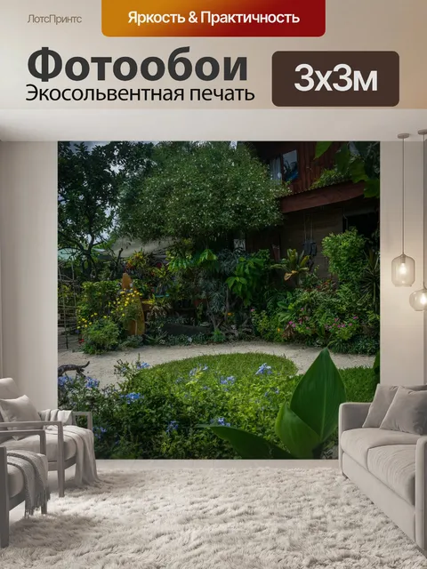 Фотообои Бора