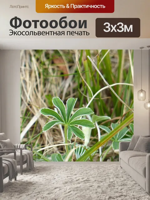 Фотообои Лист