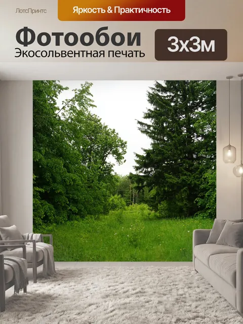 Фотообои Лес