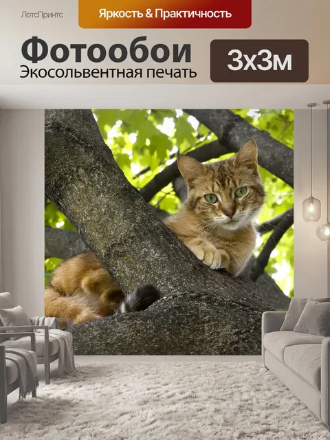 Фотообои Кошка в дереве
