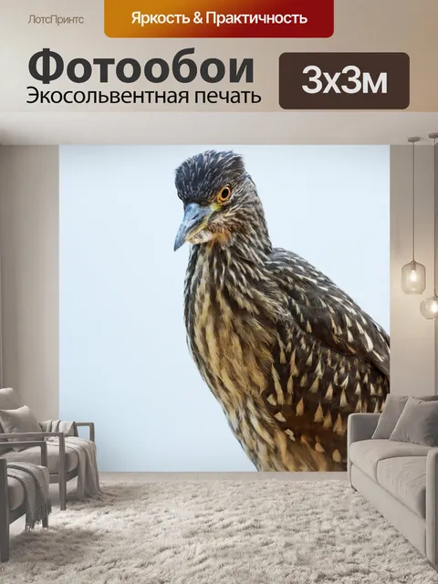Фотообои Птица