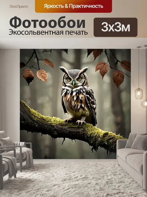 Фотообои древняя сова, сидящая на старой, покрытой мхом ветке дерева