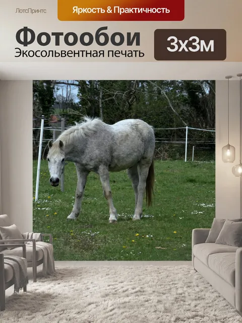 Фотообои Лошадь на лугу