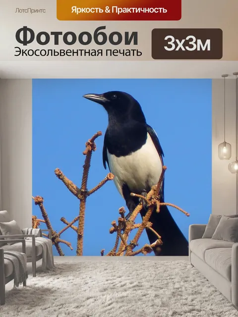 Фотообои Птица