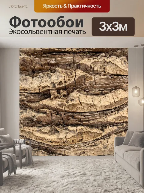 Фотообои Кора пальмы