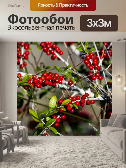 Фотообои красный ягодный куст